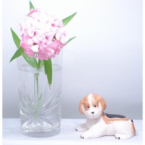 置物 犬 いぬ イヌ 犬  陶器 501 |  | 05