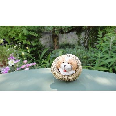 置物 犬 いぬ イヌ 犬  陶器 501A |  | 09