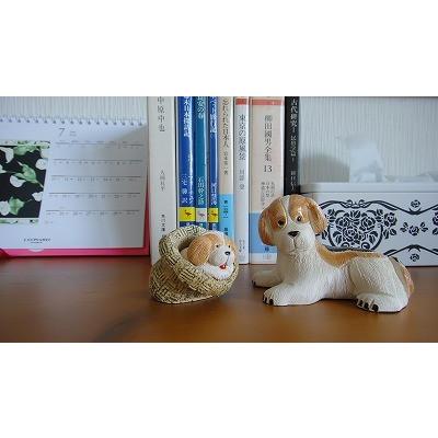 置物 犬 いぬ イヌ 犬  陶器 501A |  | 11
