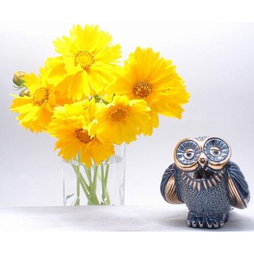 置物 フクロウ ふくろう 梟 陶器 送料無料 723 |  | 03