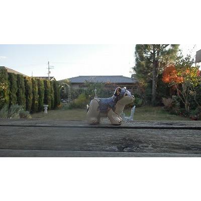 置物 イヌ いぬ 犬  オオカミ おおかみ 狼 陶器 送料無料 F336 |  | 06
