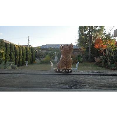 置物 イヌ いぬ 犬  オオカミ おおかみ 狼 陶器 送料無料 F382 |  | 06