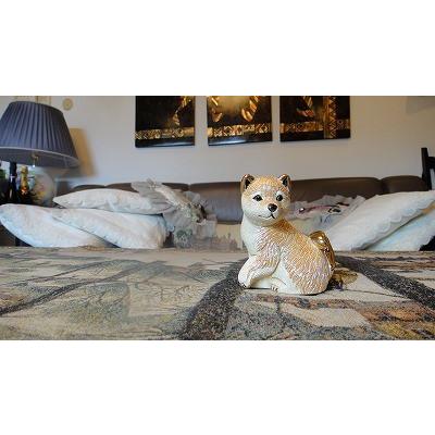 置物 イヌ いぬ 犬  陶器 送料無料 F412 |  | 05