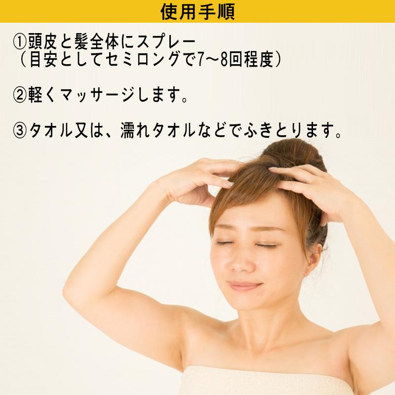 資生堂 防災グッズ 女性 介護 入院 お風呂 ドライシャンプー 水のいらないシャンプー150ml スプレータイプ 2本セット 防犯 防災専門店 あんしん壱番 通販 Yahoo ショッピング