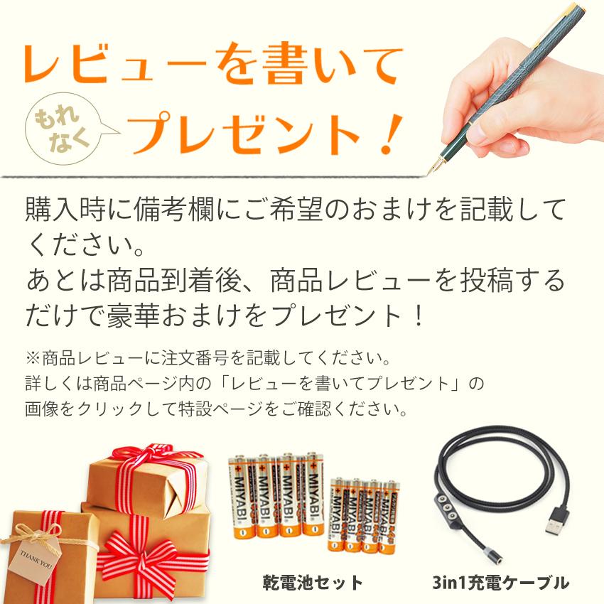 ライト・ランタン キャンプ グランピング USB給電 クラシックランタン