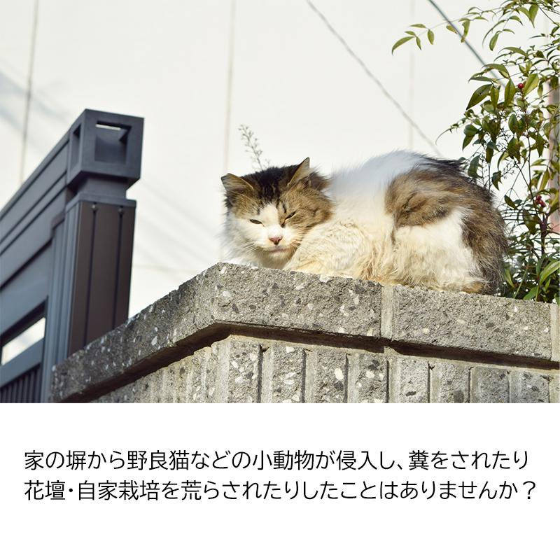 侵入防止ボード 忍び返し 侵入防止柵 後付け 簡単取り付け ネコ 小動物 防犯 防災専門店 あんしん壱番 通販 Yahoo ショッピング
