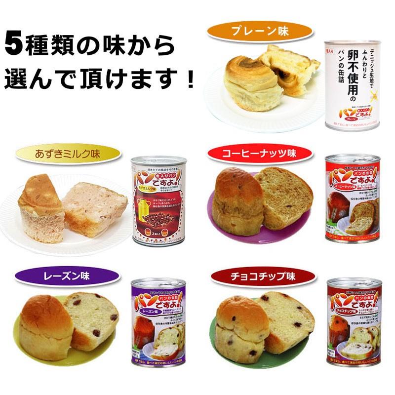 非常食 パン 5年保存 備蓄 おいしい 保存食 アウトドア 防災 パンですよ チョコチップ味 262m0001 防犯 防災専門店 あんしん壱番 通販 Yahoo ショッピング