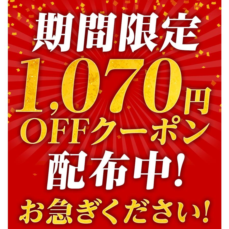 ＼お得なクーポン配布中！／ リンガーハット 長崎ちゃんぽん4食・長崎皿うどん4食 長崎ちゃんぽん ちゃんぽん 送料無料 冷凍食品 具材付き｜ringerhut｜02