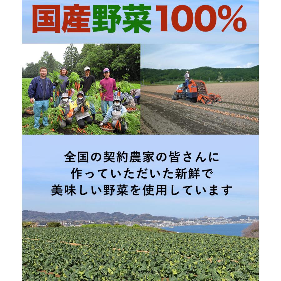 Z ＼クーポンで衝撃の25%OFF！／ リンガーハット 長崎 ちゃんぽん 4食・長崎皿うどん4食  送料無料 ポイント消化 麺 スープ めん 冷凍 冷凍食品 非常食 国産 | リンガーハット | 07