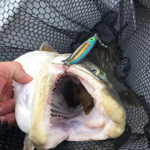 円高還元 Peetz Cj スペシャル 傷ついたanchovy スプーン フィッシングルアー 6パック ボーナス その他ソフトルアー