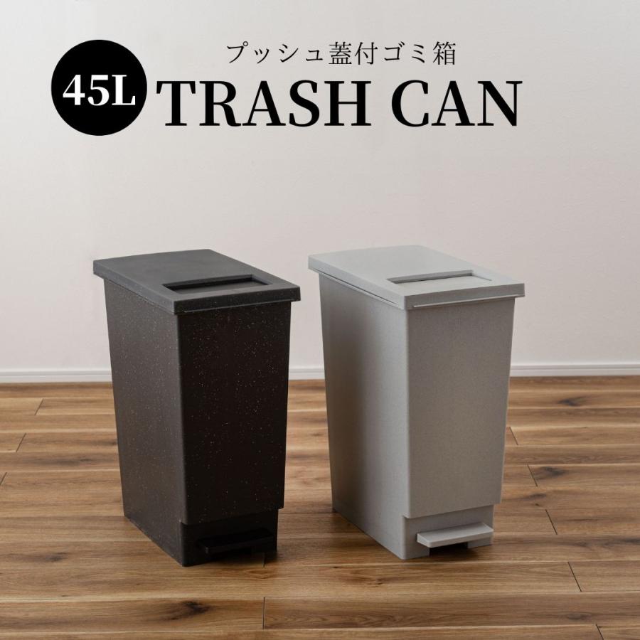 東谷 ゴミ箱 45L ペダル式 プッシュ式 2WAY ダストボックス おしゃれ