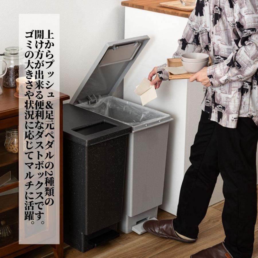 東谷 ゴミ箱 45L ペダル式 プッシュ式 2WAY ダストボックス おしゃれ