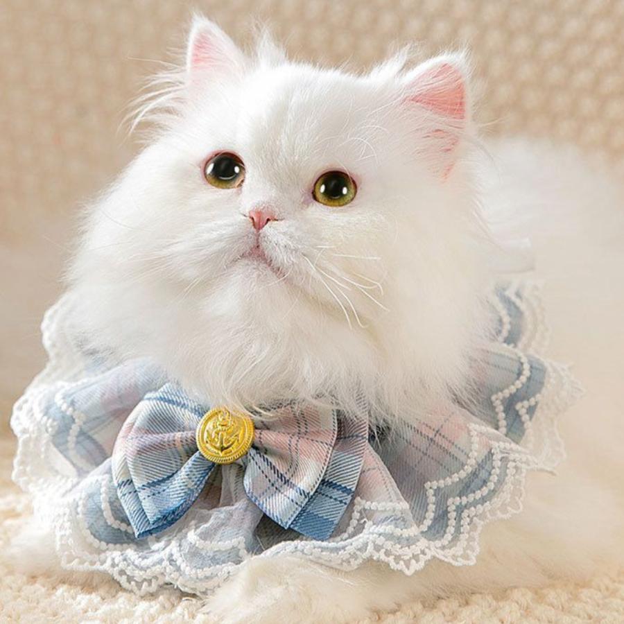 猫 ネコ 小型犬 首輪 ひな祭り イヌ 犬 猫用首輪 チェック柄 レース