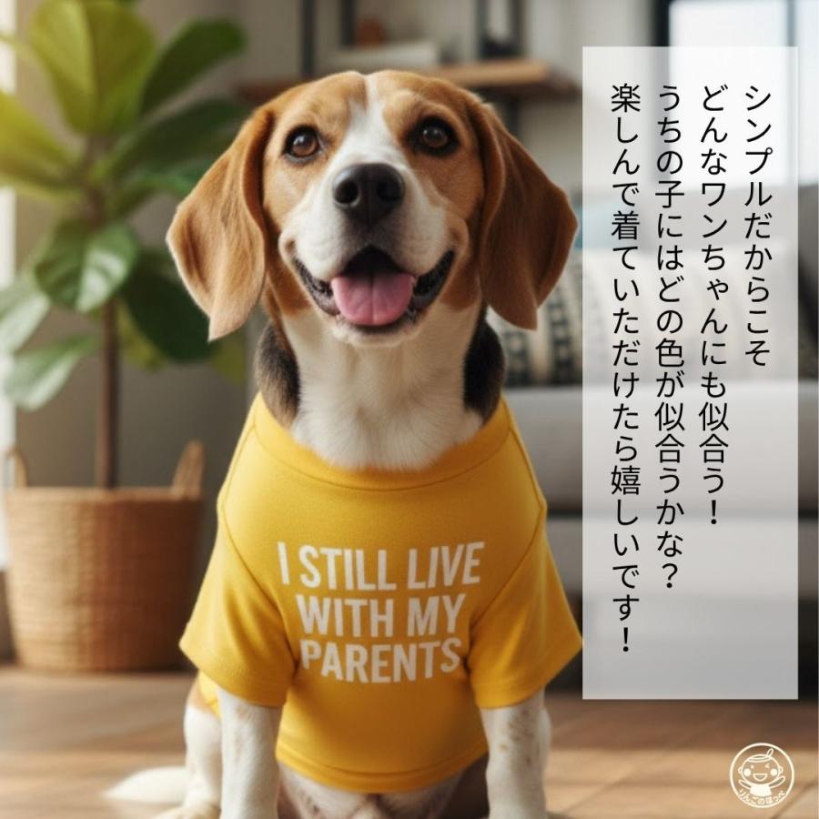 犬服 Tシャツ 洋服 ドッグウェア フレンチブルドッグ 袖あり 犬用 英字