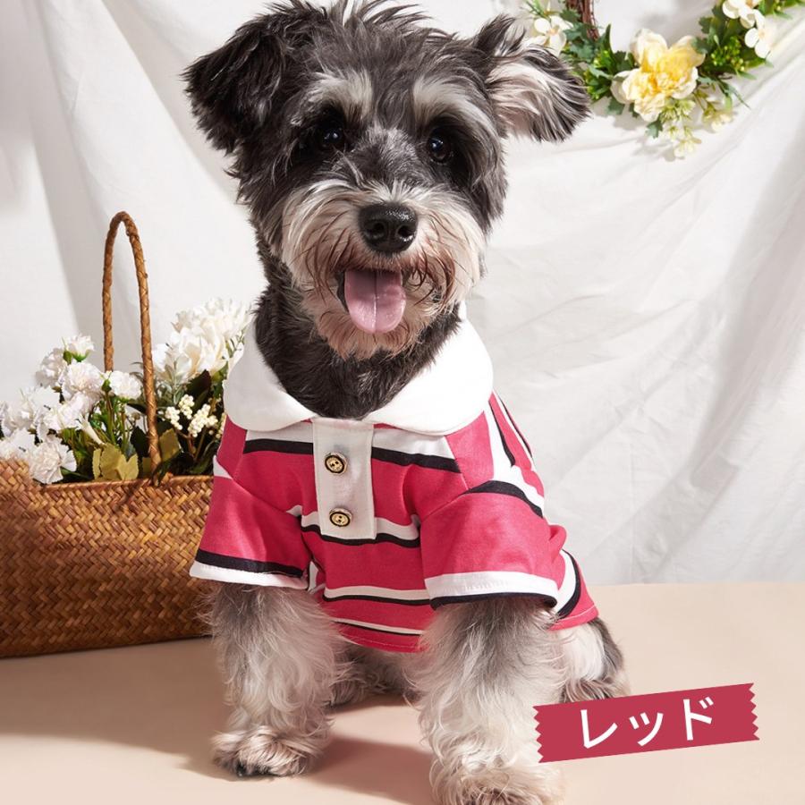 犬服 春夏 ボーダー ポロシャツ ラガーシャツ いぬ ペット