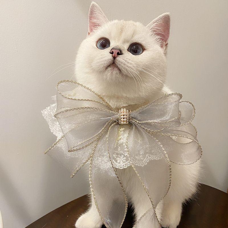 猫 チョーカー 首輪 小型犬 ペットアクセサリー ペット 猫グッズ 猫