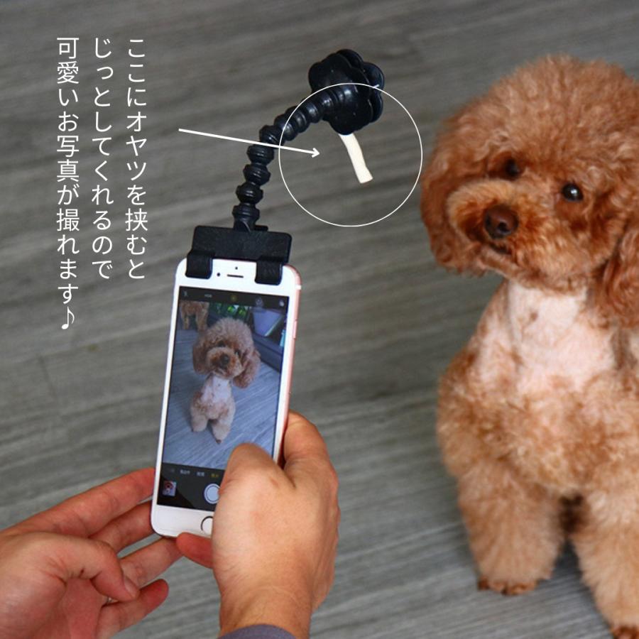 ペット用 自撮り棒 犬 猫 ペット ペット写真 スマホ用撮影 セルカ棒