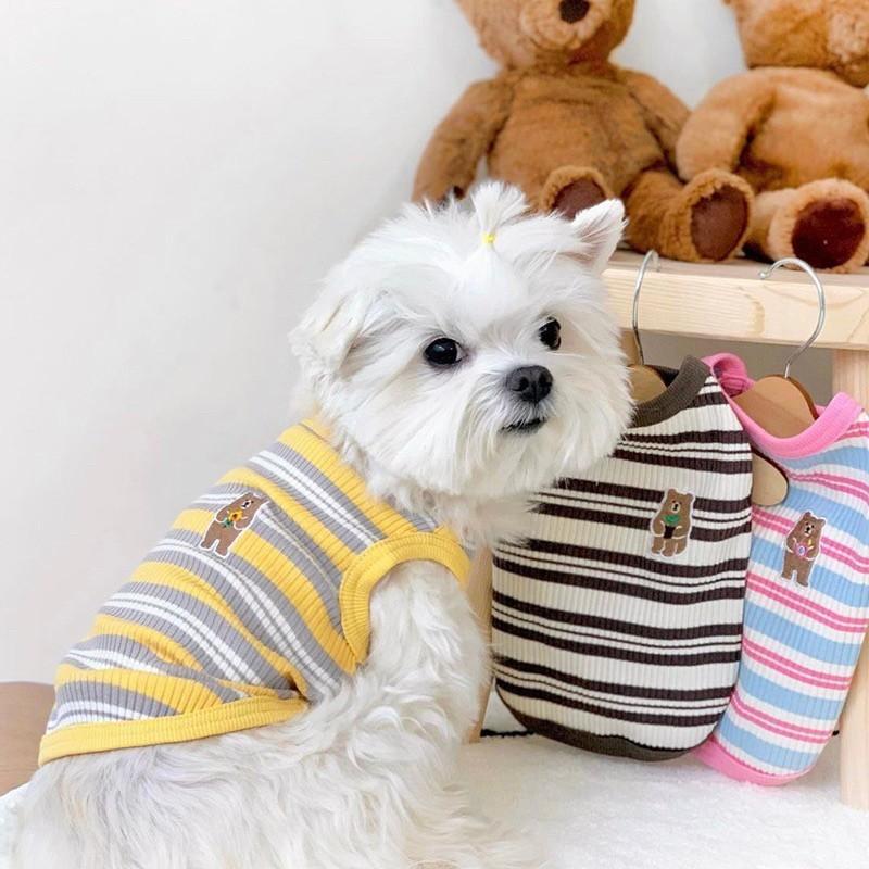 犬服 ストライプ柄 レース襟 クラシック 男の子用 犬服 襟付き