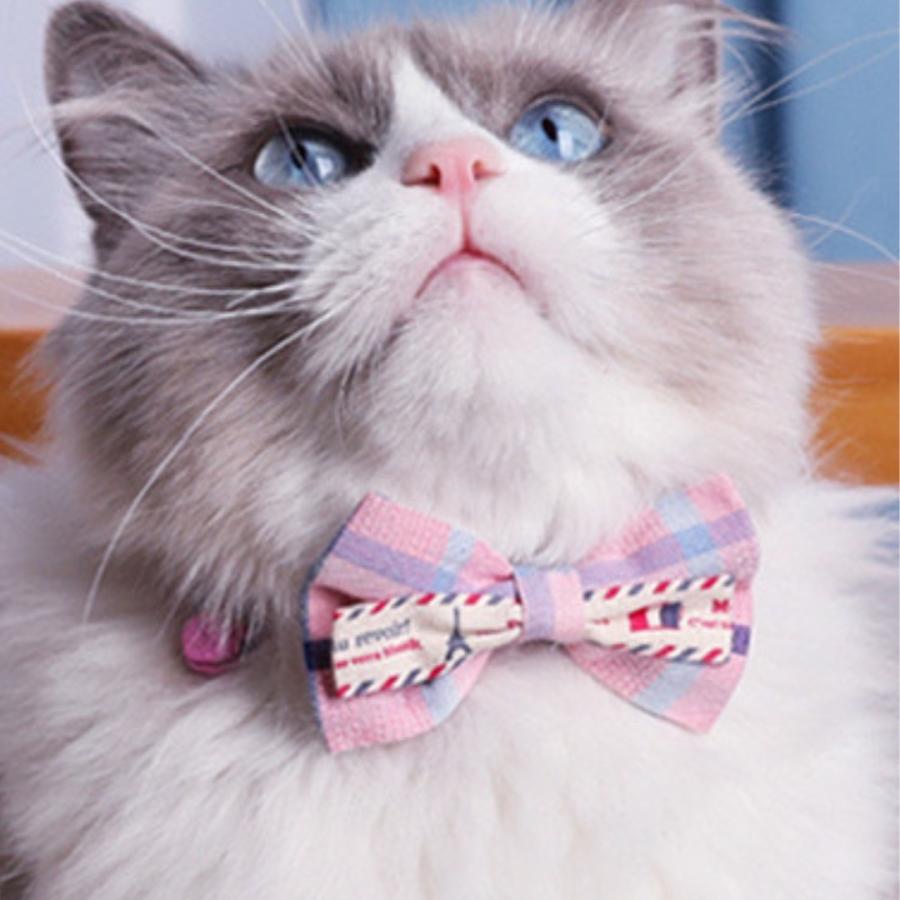 猫 犬 子犬 首輪 チェック柄  かわいい 鈴 猫の首輪 シンプル かわいい 猫用 子猫 鈴付き ネコ ねこ 軽い ペットグッズ専門店 りんごのほっぺ　 |  | 02