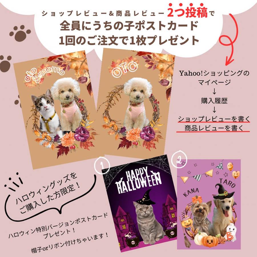 ハロウィン 犬 猫 スタイ ハンドメイド うちの子 秋冬新作
