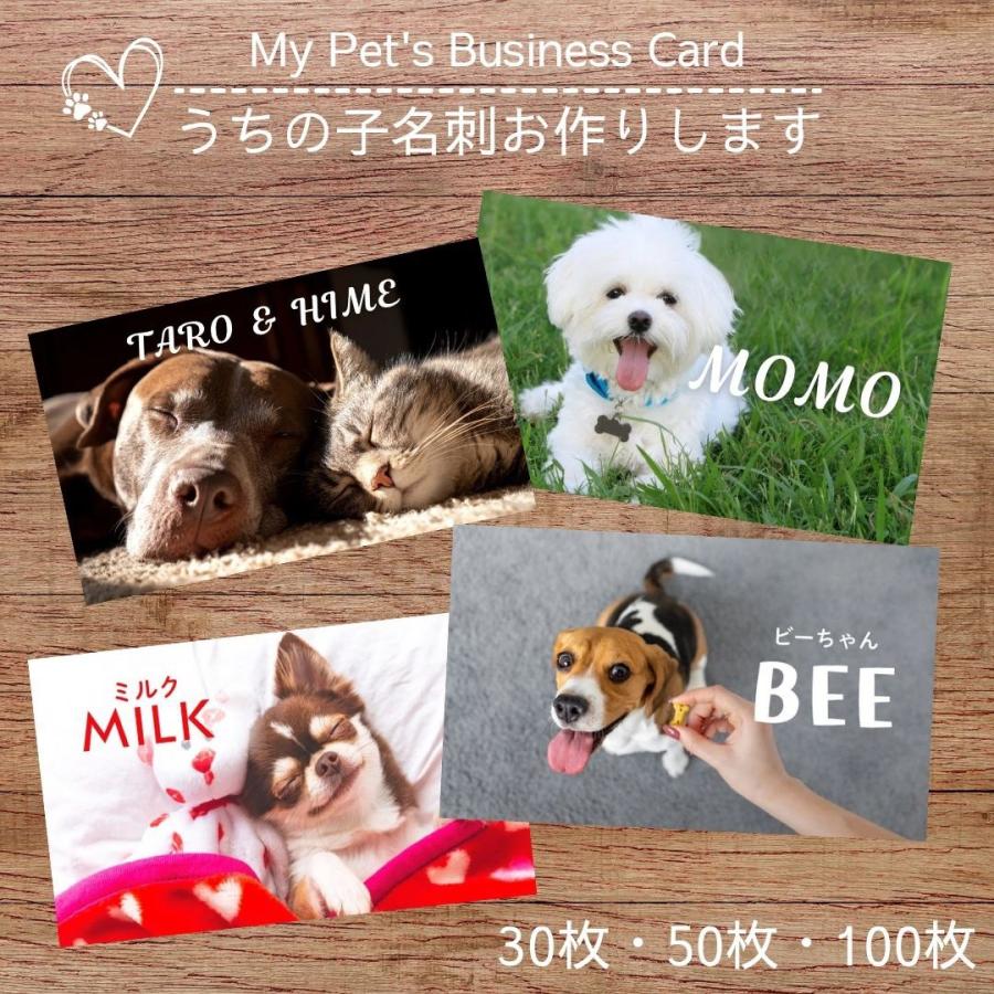 犬 名刺 猫 ペットの名刺 写真をそのまま使用 ペット イヌ ネコ ハンドメイド ペットグッズ専門店 りんごのほっぺ　 | 