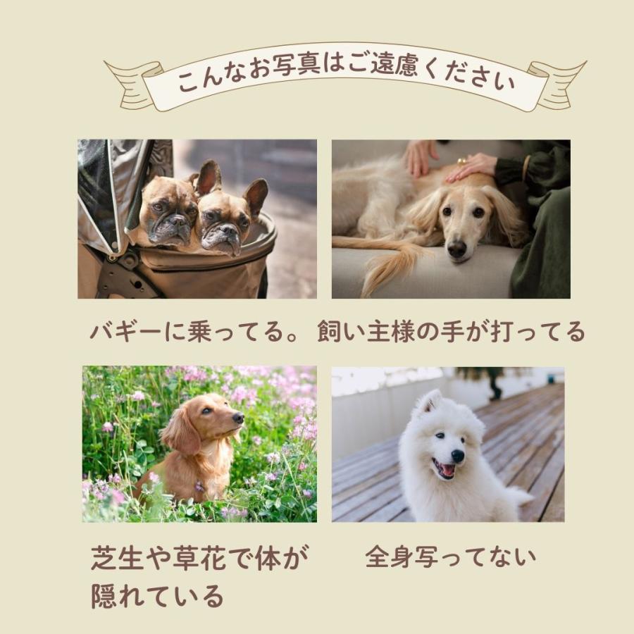 犬 名刺 猫 ペットの名刺 写真をそのまま使用 ペット イヌ ネコ ハンドメイド ペットグッズ専門店 りんごのほっぺ　 |  | 10