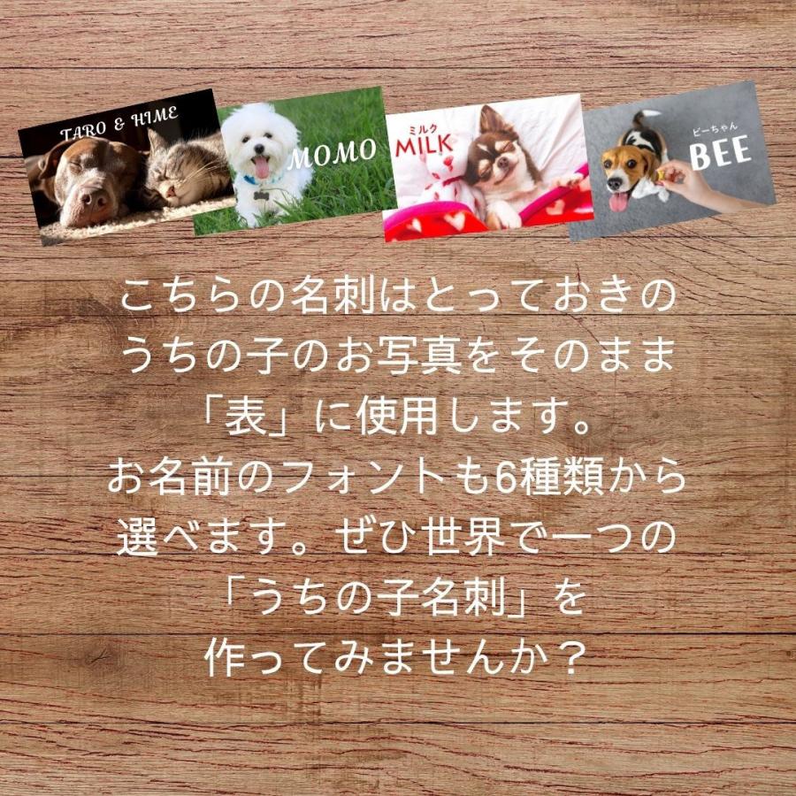 犬 名刺 猫 ペットの名刺 写真をそのまま使用 ペット イヌ ネコ ハンドメイド ペットグッズ専門店 りんごのほっぺ　 |  | 01
