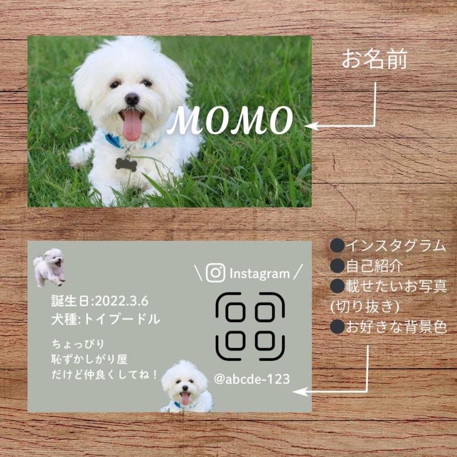 犬 名刺 猫 ペットの名刺 写真をそのまま使用 ペット イヌ ネコ ハンドメイド ペットグッズ専門店 りんごのほっぺ　 |  | 02
