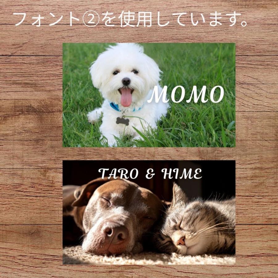 犬 名刺 猫 ペットの名刺 写真をそのまま使用 ペット イヌ ネコ ハンドメイド ペットグッズ専門店 りんごのほっぺ　 |  | 04