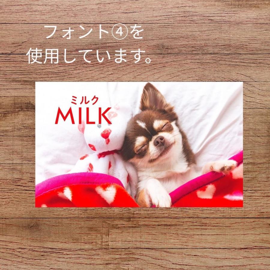 犬 名刺 猫 ペットの名刺 写真をそのまま使用 ペット イヌ ネコ ハンドメイド ペットグッズ専門店 りんごのほっぺ　 |  | 05