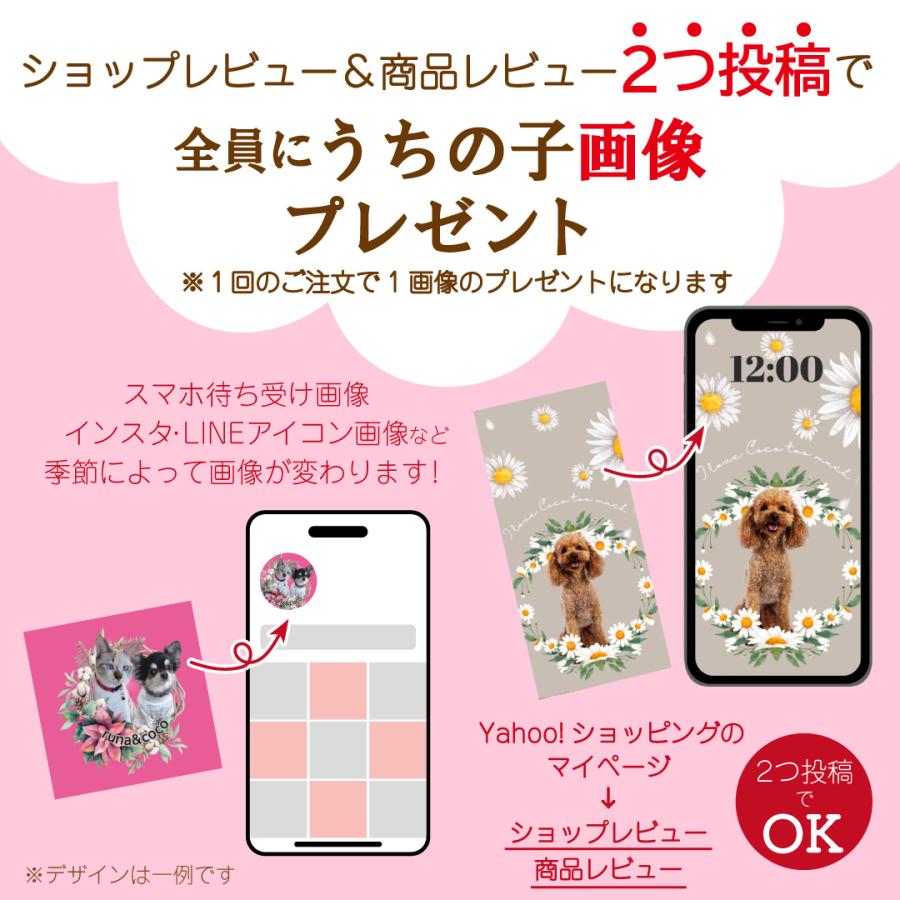 犬 名刺 猫 ペットの名刺 写真をそのまま使用 ペット イヌ ネコ ハンドメイド ペットグッズ専門店 りんごのほっぺ　 |  | 11