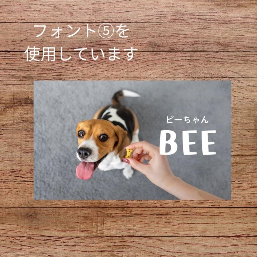 犬 名刺 猫 ペットの名刺 写真をそのまま使用 ペット イヌ ネコ ハンドメイド ペットグッズ専門店 りんごのほっぺ　 |  | 06