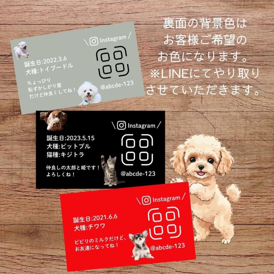 犬 名刺 猫 ペットの名刺 写真をそのまま使用 ペット イヌ ネコ ハンドメイド ペットグッズ専門店 りんごのほっぺ　 |  | 07