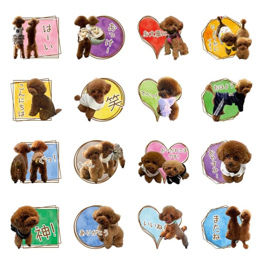 犬 猫 オリジナル ラインスタンプ 16 うちの子グッズ ペット 手作り ハムスター インコ うさぎ ライン LINE 多頭飼い A2 :  りんごのほっぺYahoo!店 - 通販 - Yahoo!ショッピング