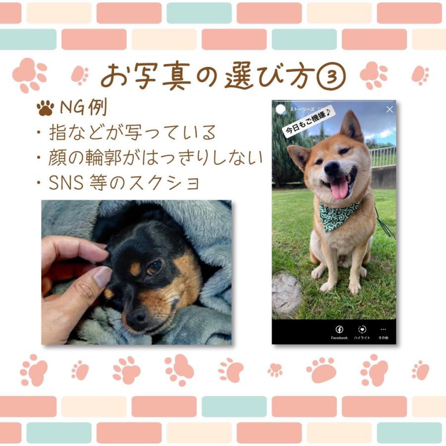 犬 猫 オリジナル ラインスタンプ 16 うちの子グッズ ペット 手作り