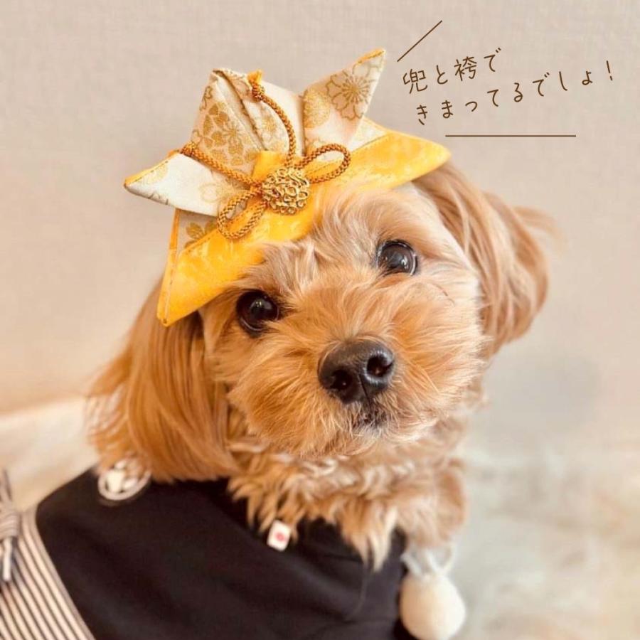犬 猫 兜 端午の節句 犬用 猫用 ペット グッズ 愛犬 赤ちゃん