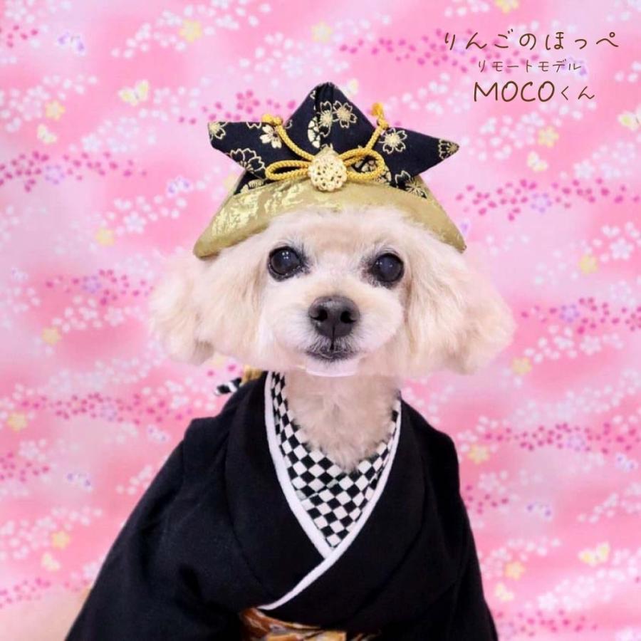 犬 猫 兜 端午の節句 犬用 猫用 ペット グッズ 愛犬 赤ちゃん