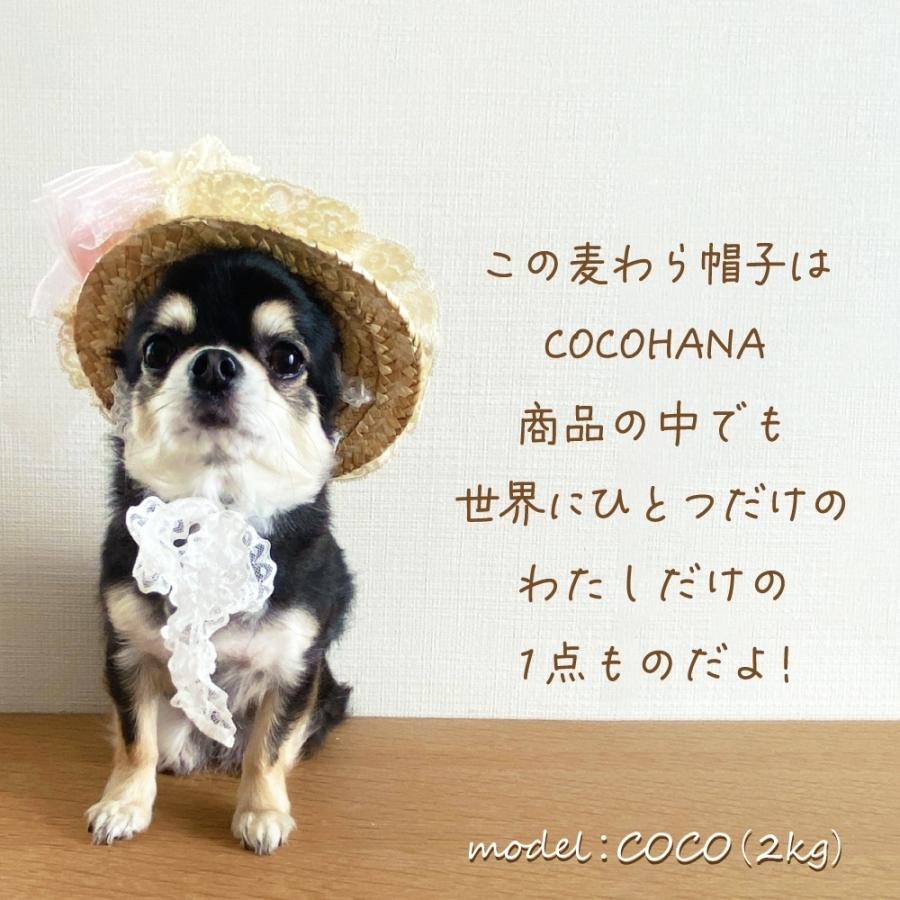 唐草模様の麦わら帽子 カンカン帽 犬用帽子 ペット用帽子