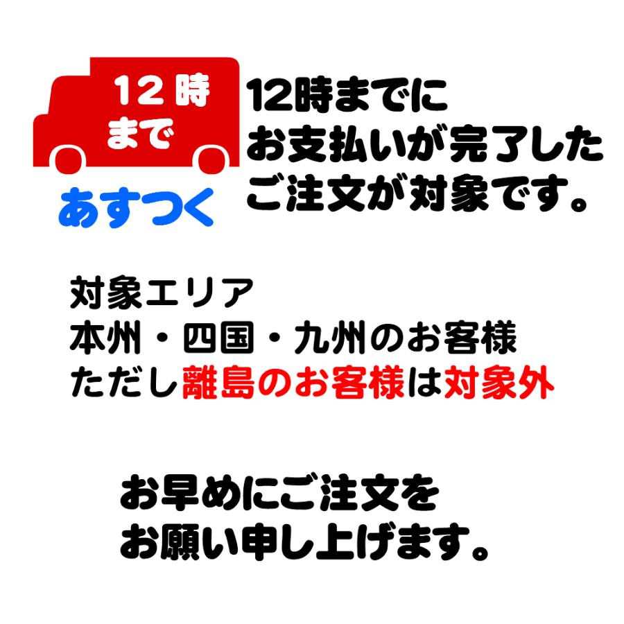 野球 トス バッティング シャトル 48個 収納カゴ セット 4色