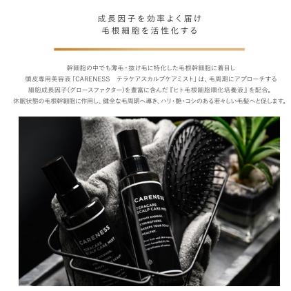 お取り寄せ商品 テラケア スカルプミスト 100ml 安心の追跡番号 お取り寄せ商品 テラケア スカルプミスト 100ml 安心の追跡番号