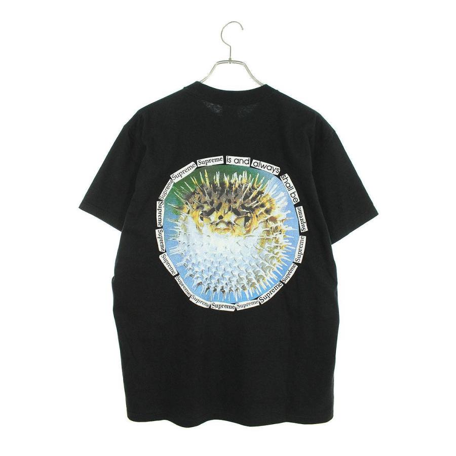 シュプリーム SUPREME 23SS Blowfish Tee サイズ:M バックプリントTシャツ 中古 OM10｜rinkan｜02