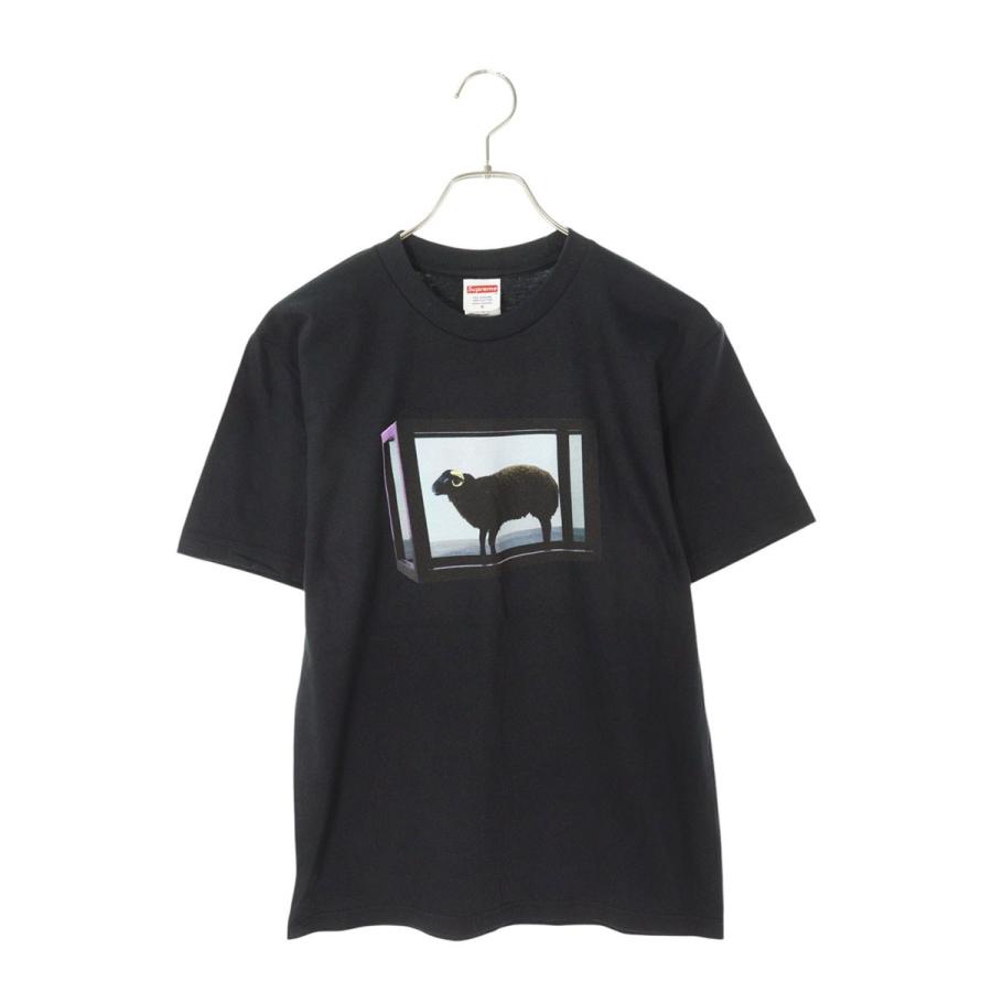 Supreme シュプリーム Tシャツ サイズ:S 25SS Damien Hirst Tee 