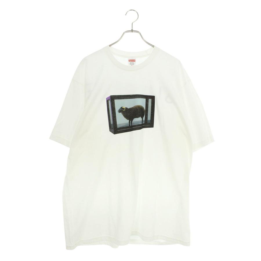 Supreme（シュプリーム） サイズ:XL 25SS Damien Hirst Tee ダミアン
