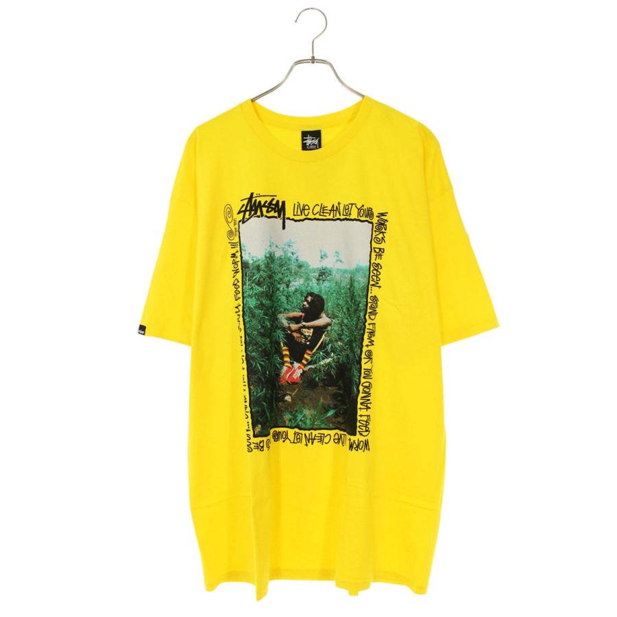 ☆★STUSSY ピータートッシュ Tシャツ XL★☆ STUSSY ステューシー サイズ:XL PETER TOSH フォトプリントT