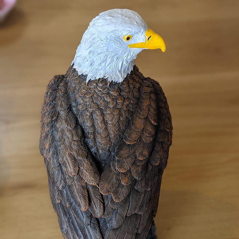 全国宅配無料Revteds 鷹の置物ワシ 鳥よけ 害鳥対策 撃退 猫 害獣 ベランダ鳩 カラス スズメ 動物 ゴミ荒らし 見張り 農業用 フマキラー GF-1 匍匐害虫(はう虫) 駆除器 412987