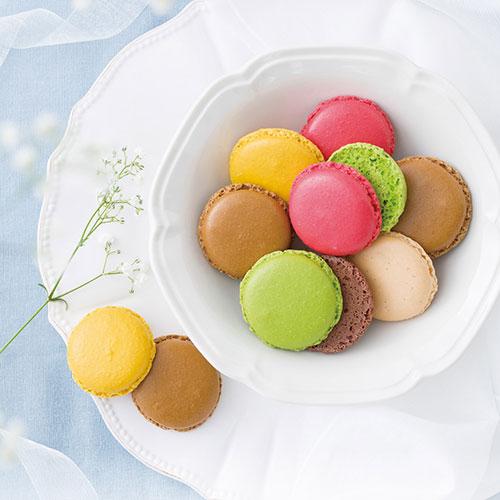 3077 マカロン 3077 マカロン macaron 】さくらピンク | CHARME