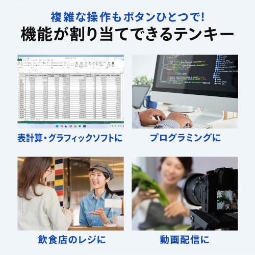 サンワサプライ プログラマブルテンキー 有線モデル NT-26UBK