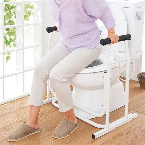 流行に 洋式トイレ用 手すり ホワイト 幅66 奥行49 高さ64 5cm 使用可能体重75kg以下 鉄パイプ お手洗い 施設 病院 学校 上質で快適 Nicmosul Org