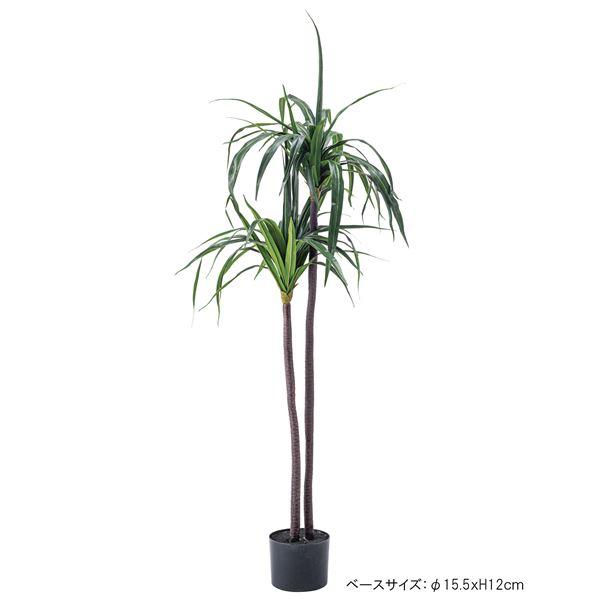 フェイクグリーン 観葉植物 ドラセナ 約幅43×奥行42×高さ84cm リビング 店舗 ショップ インテリア雑貨_5