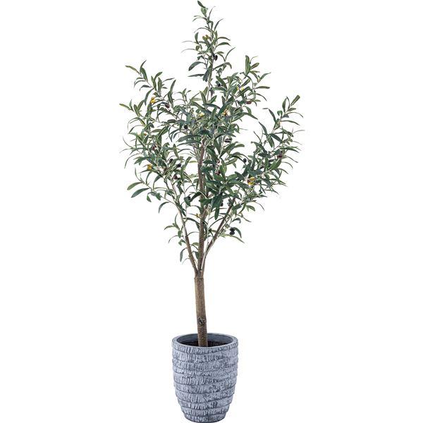フェイクグリーン 観葉植物 オリーブ 約幅44×奥行44×高さ152cm リビング 店舗 ショップ インテリア雑貨の画像